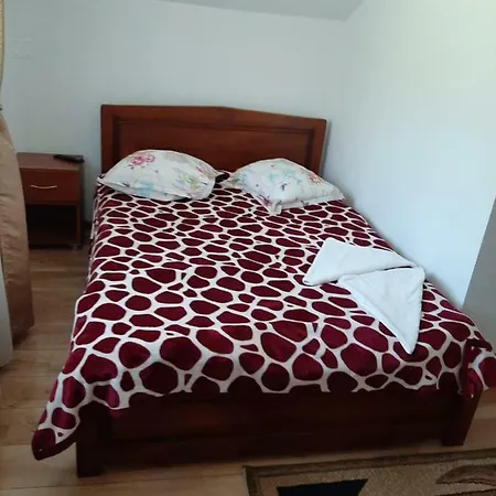 Homestay Casa Edy Calimanesti